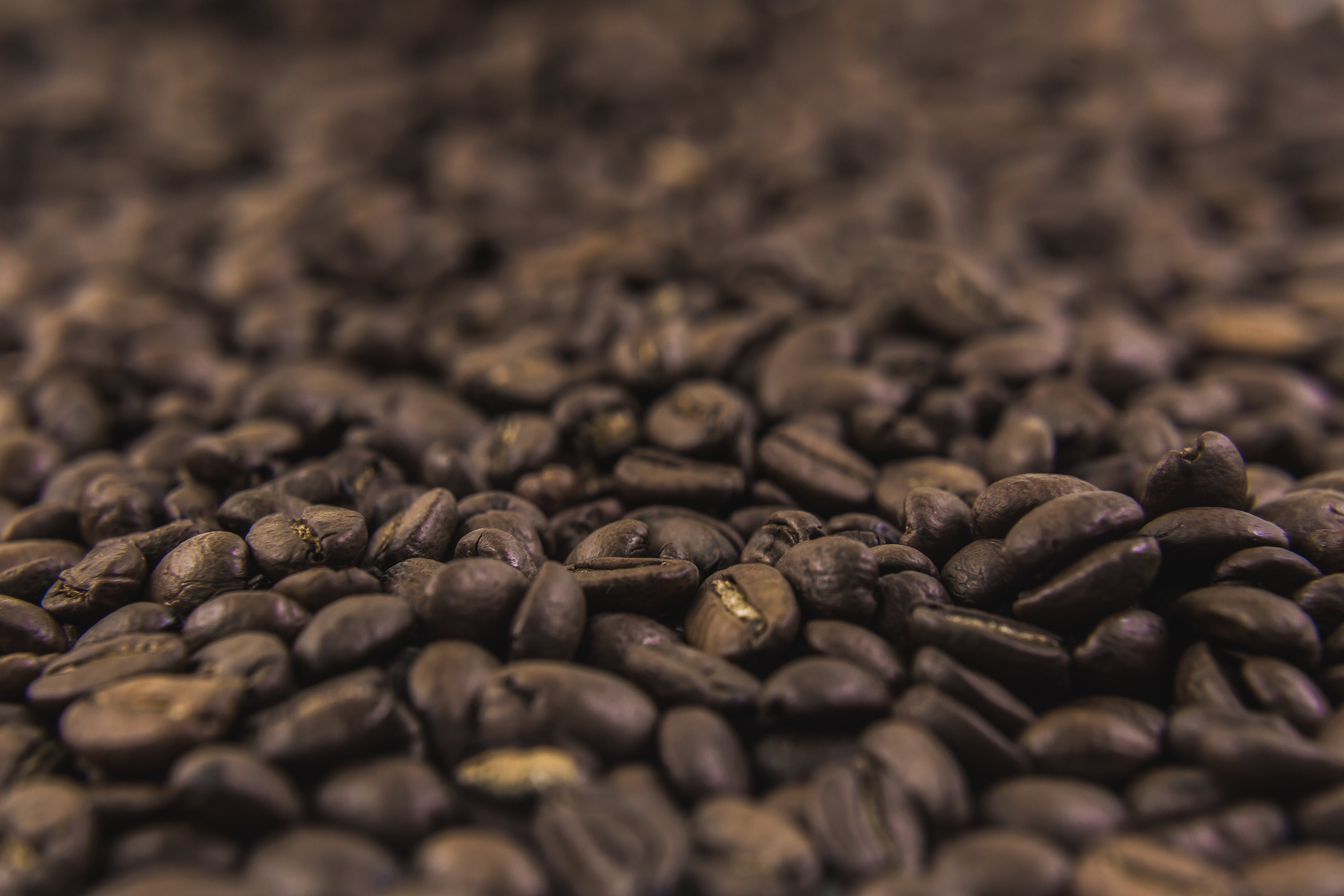 Reimer Coffee Company in Macclenny, FL (5)