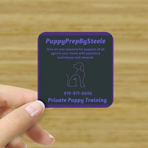 Puppy Prep By Steele in Durham, NC