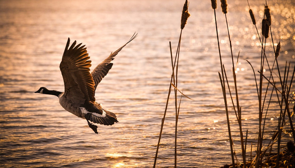 Blackhawk Lake Recreation Area in Highland, WI
