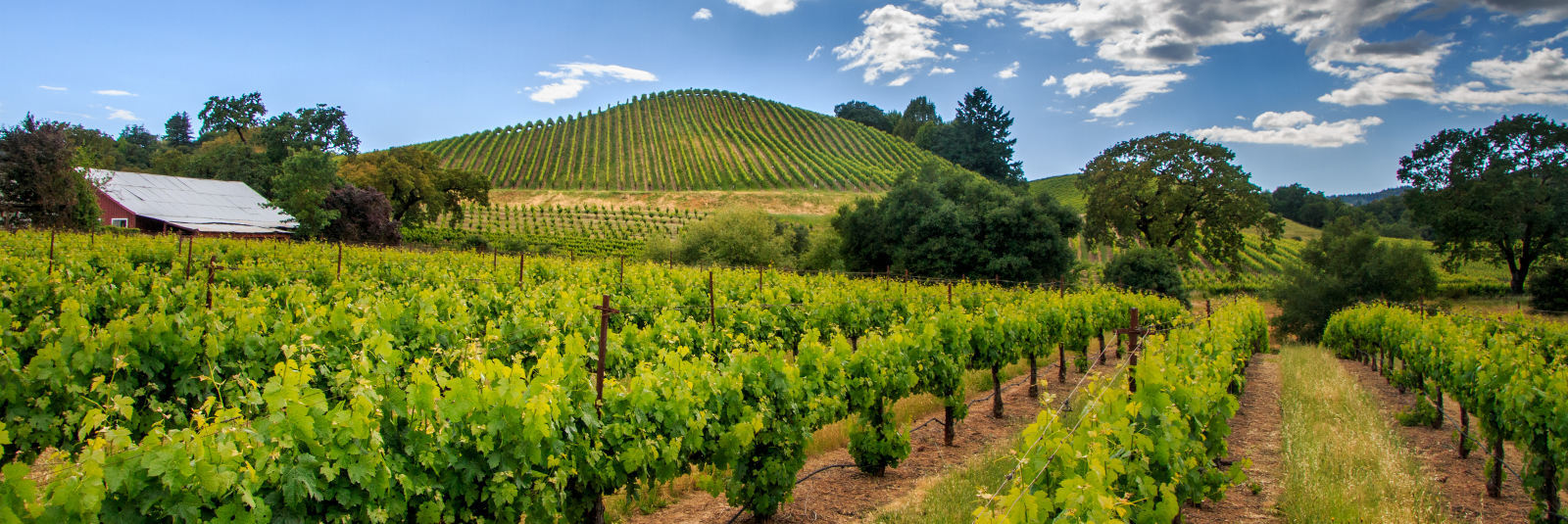 Andrew Lamb Real Estate Team in Vacaville, CA (3)