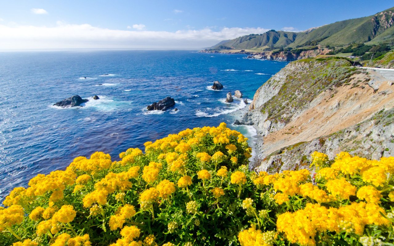 Sherry Ramzi, Top Producing, Global Real Estate Advisor serving Marin County and San Francisco in Mill Valley, CA