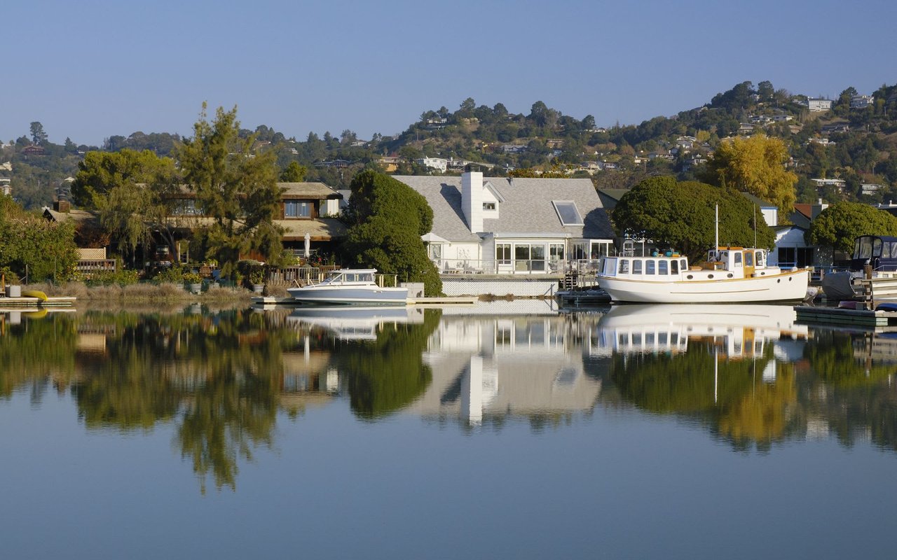 Sherry Ramzi, Top Producing, Global Real Estate Advisor serving Marin County and San Francisco in Mill Valley, CA (2)