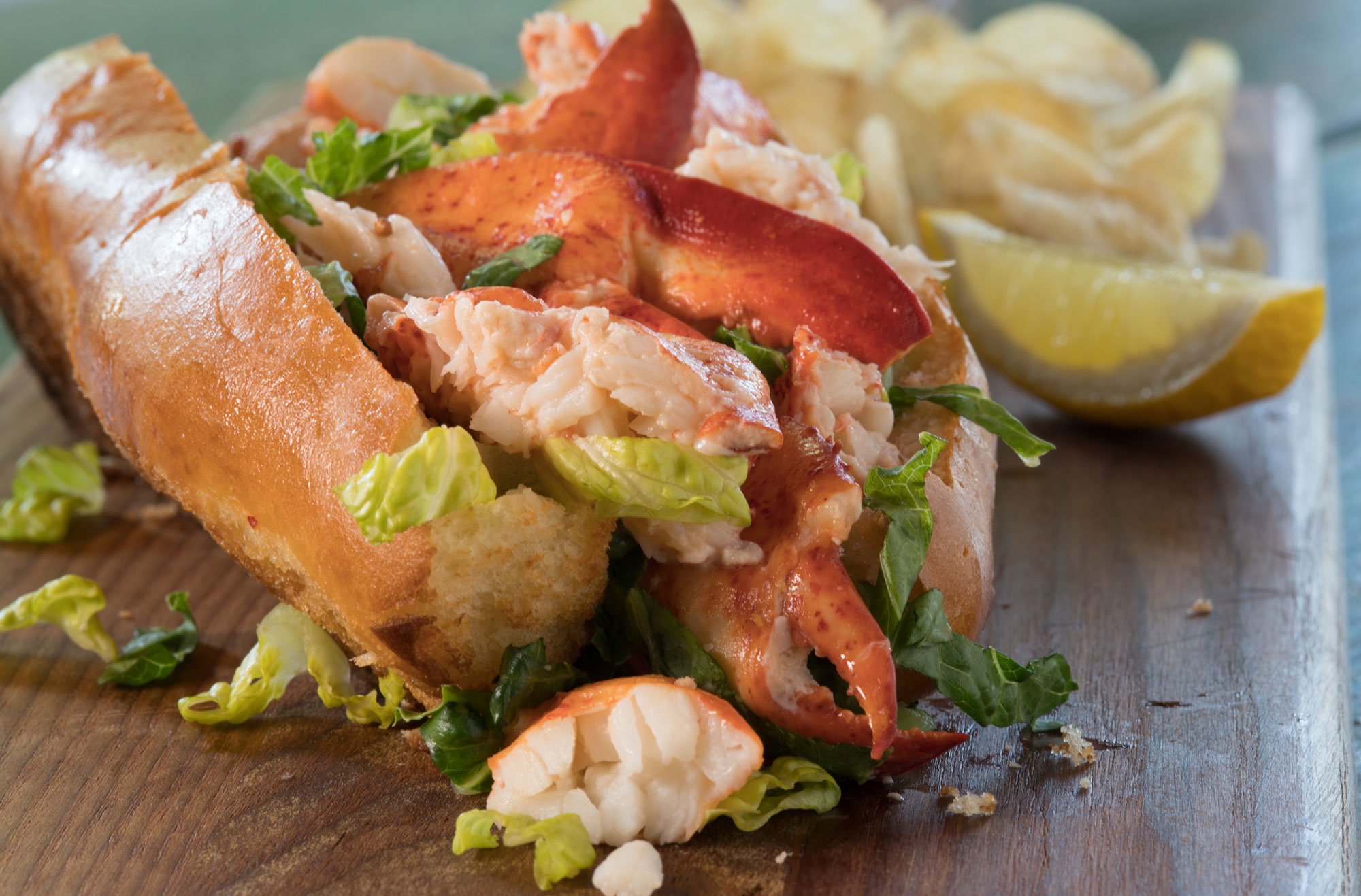 The Lobster Trap in Asheville, NC