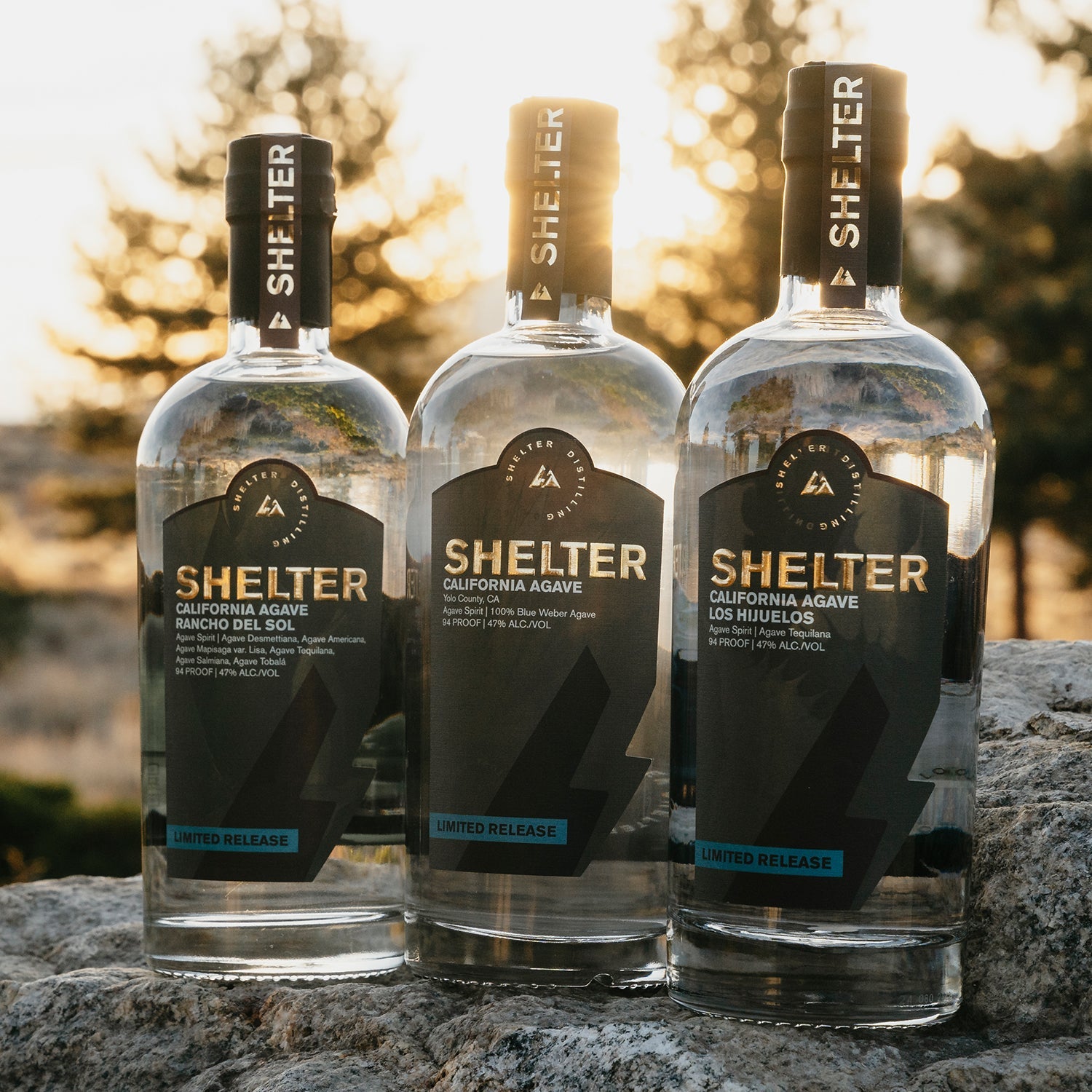 Shelter Distilling in Mammoth Lakes, CA (4)