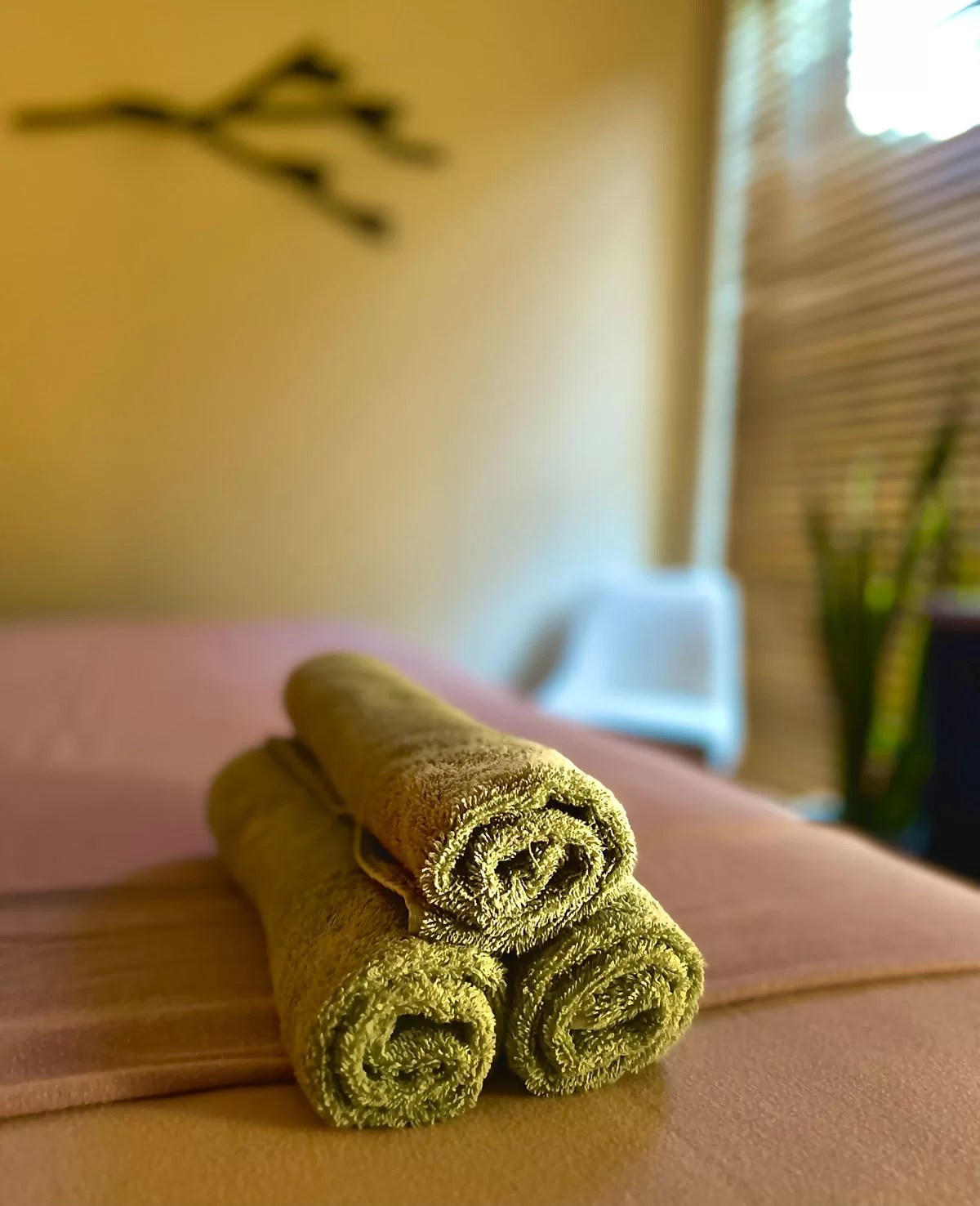 The Banyan Holistic in Pinecrest, FL (2)