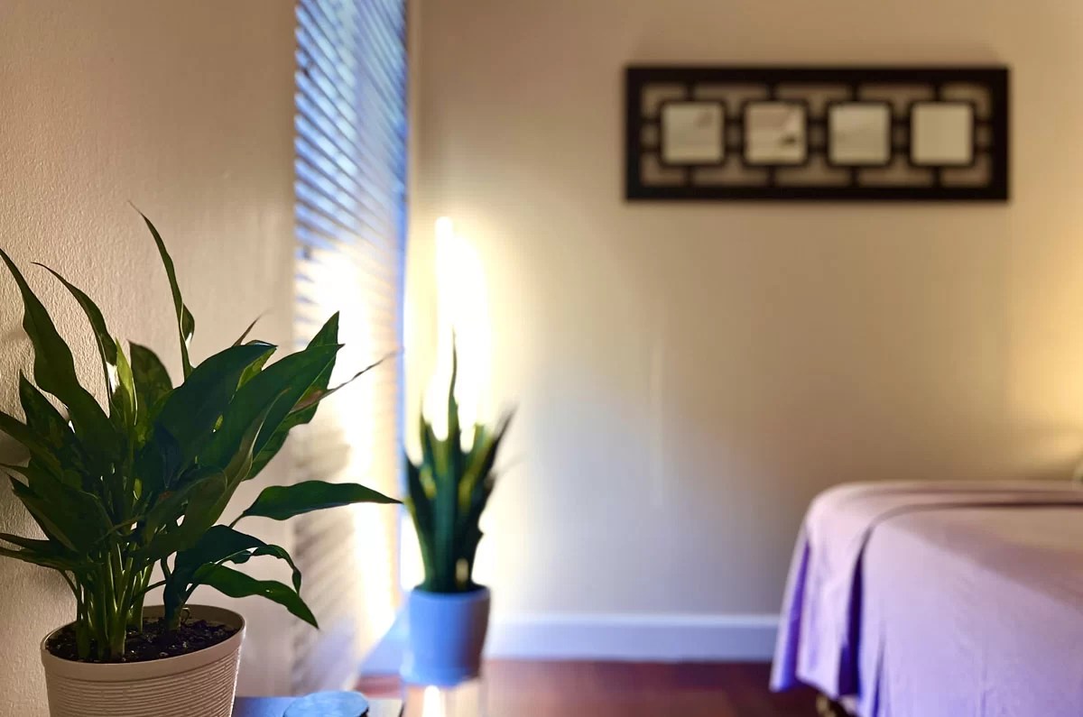 The Banyan Holistic in Pinecrest, FL (6)