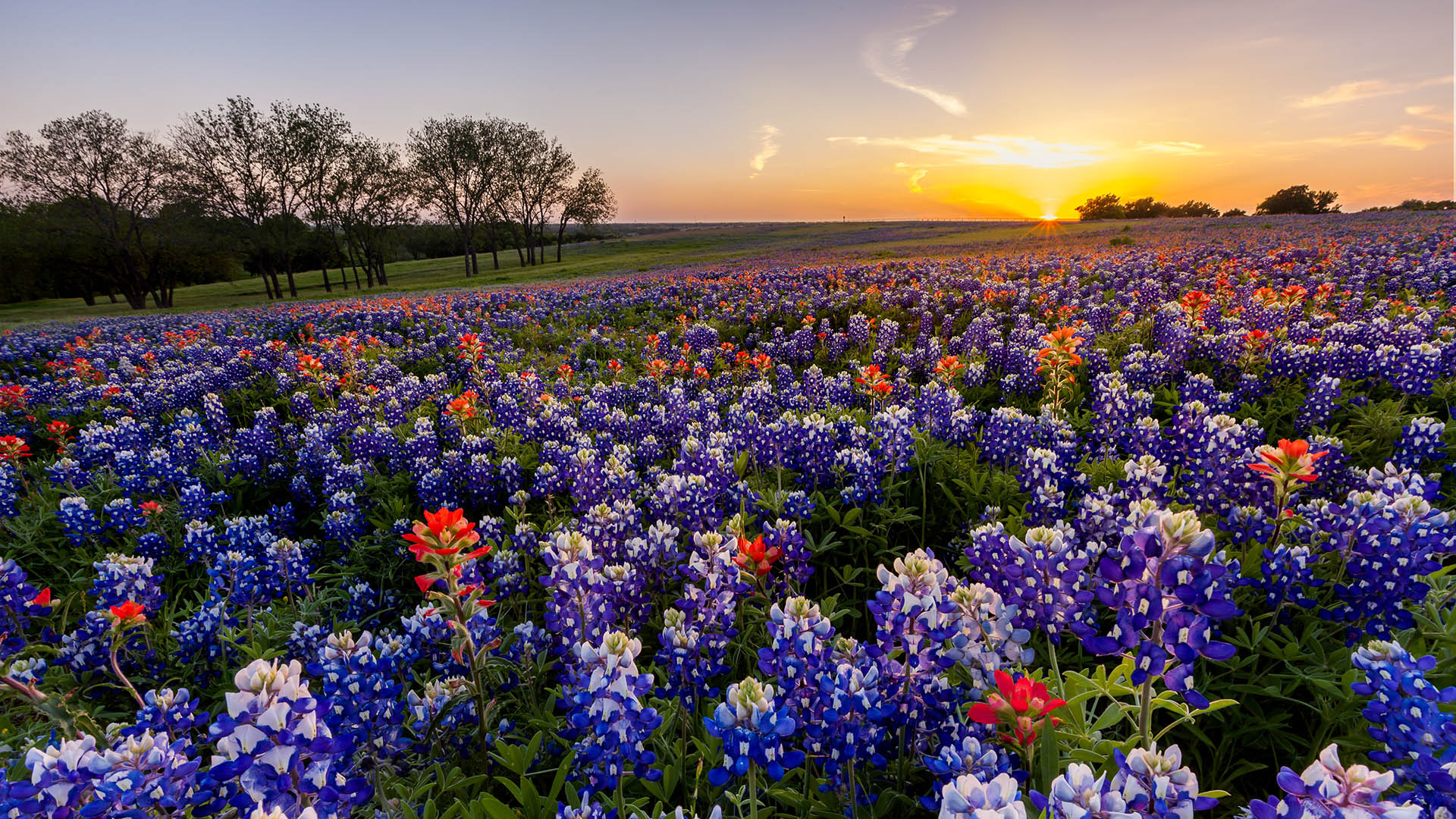 Haas House Bookkeeping & Payroll Services LLC in Georgetown, TX