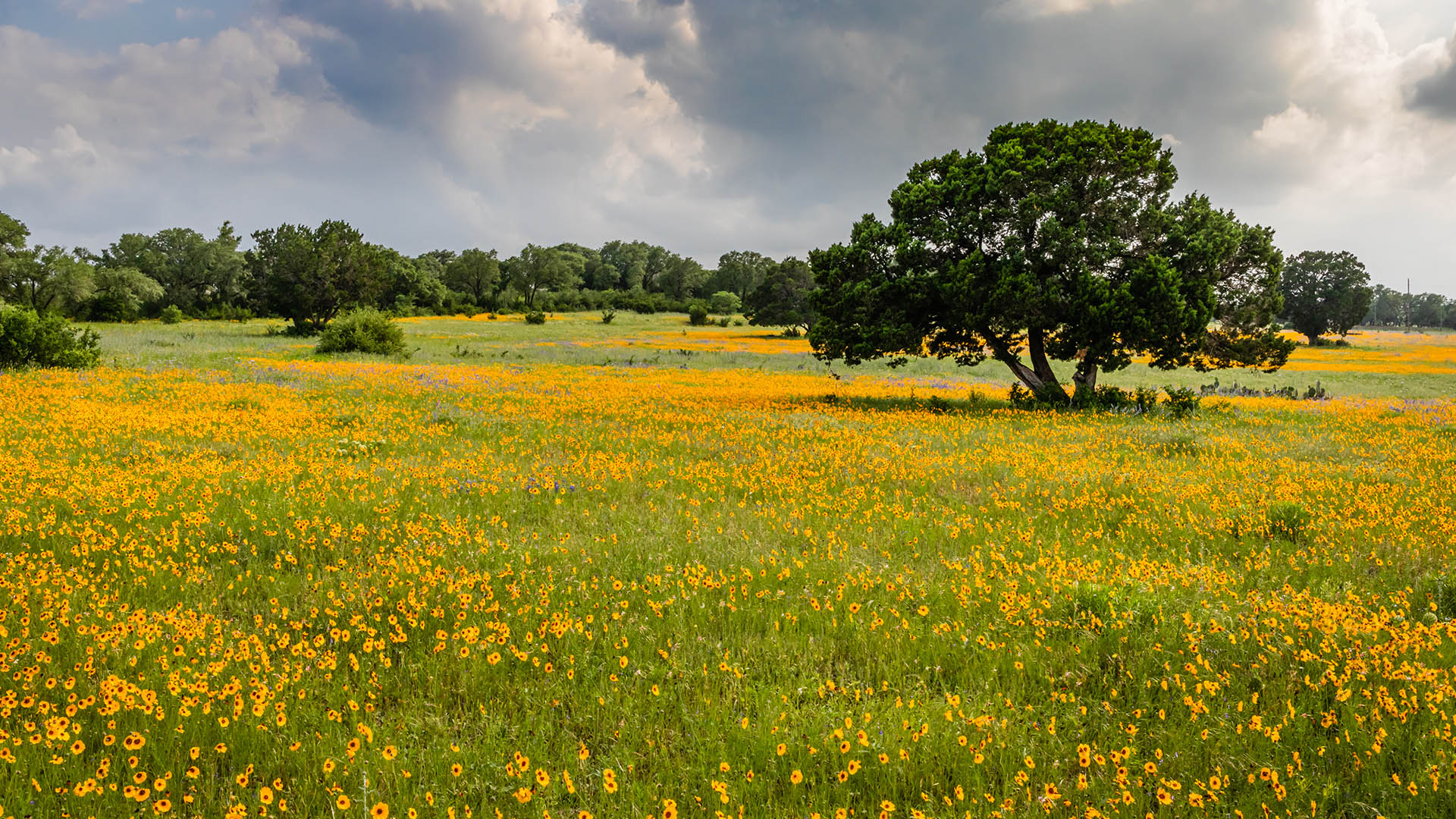 Haas House Bookkeeping & Payroll Services LLC in Georgetown, TX (2)