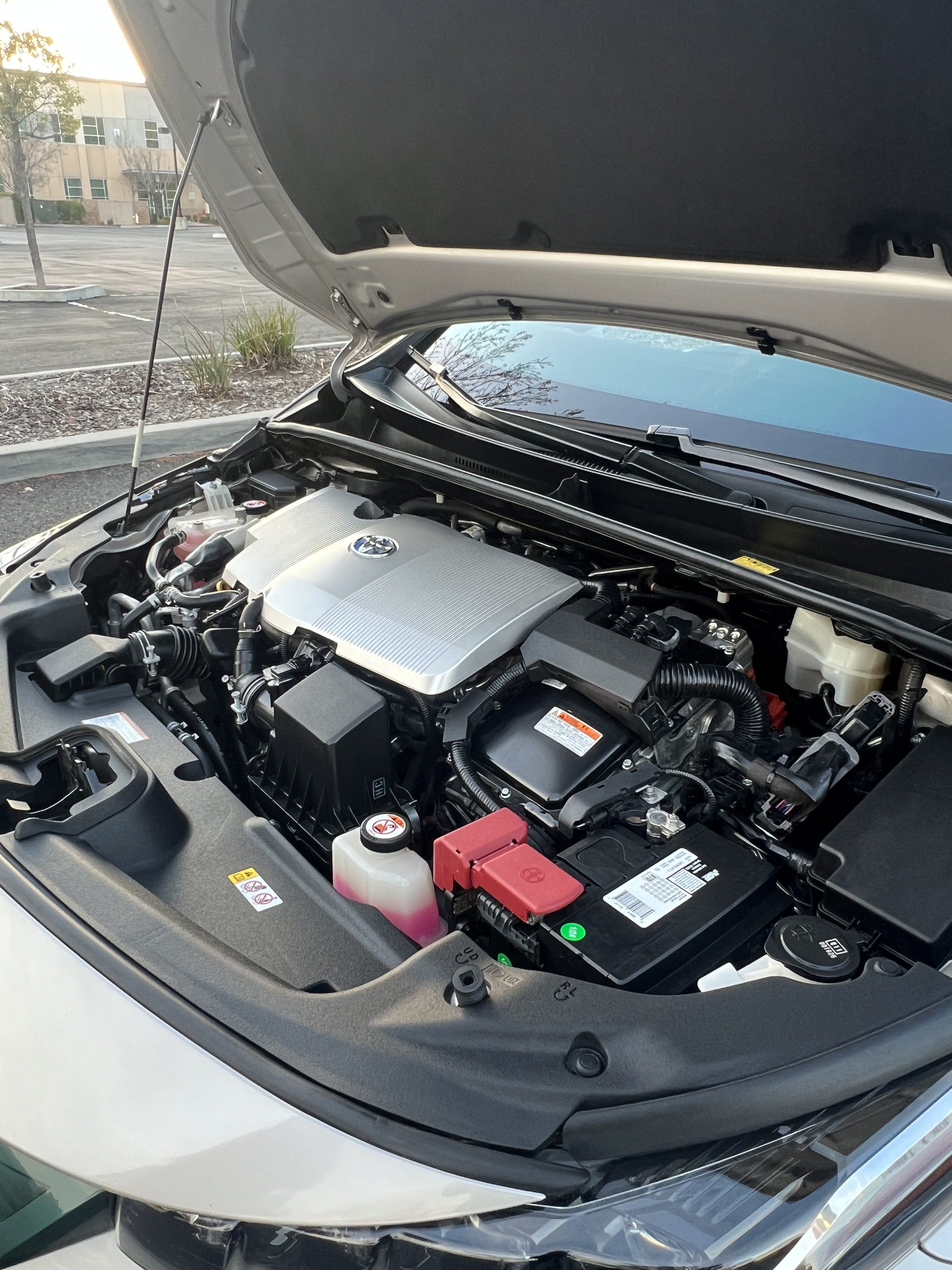 Elite Shine Auto Care - Ceramic Coating, Paint Correction & Mobile Auto Detailing in Granada Hills, CA (2)