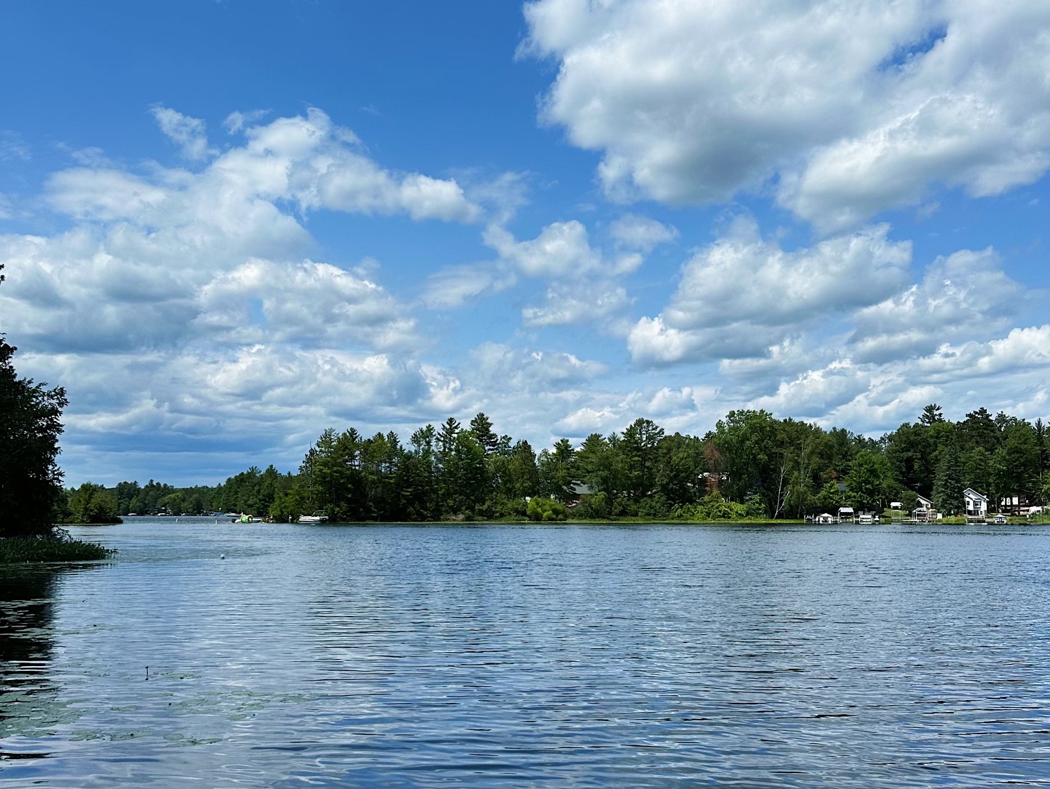 The Blind Walleye in Crivitz, WI (3)