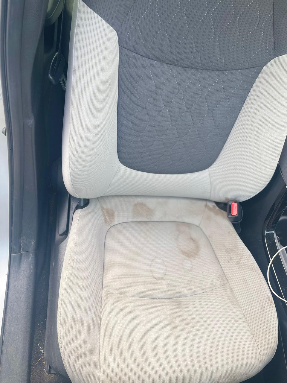 BLUE STAR MOBILE CAR WASH & DETAILING in Moultrie, GA (5)