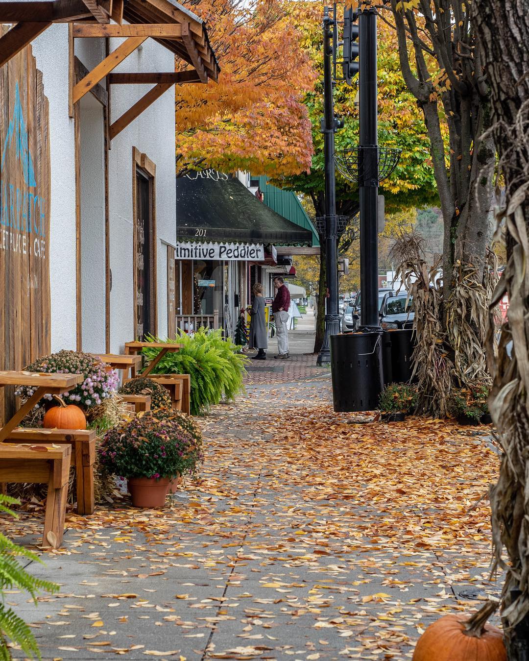 Briar Patch Marketplace & Cafe in Galax, VA