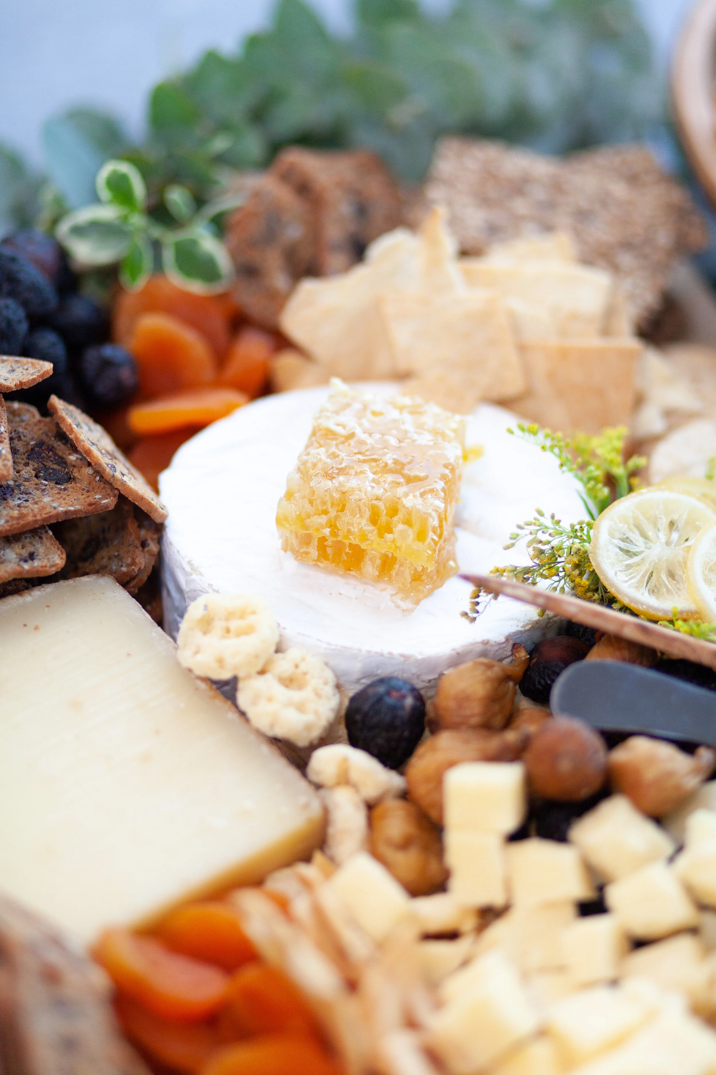 Poe & Co Catering & Meal Delivery in Santa Barbara, CA (5)