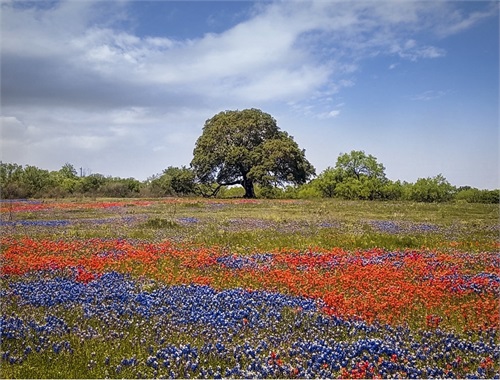 Joseph Financial Partners in Fredericksburg, TX (3)