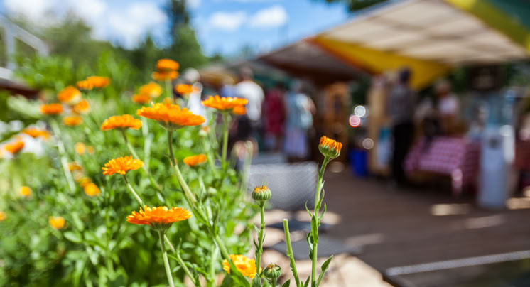 Lisle French MARKET in Lisle, IL (2)