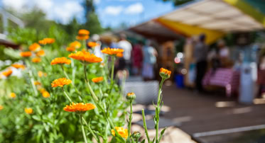 Lisle French MARKET in Lisle, IL (5)