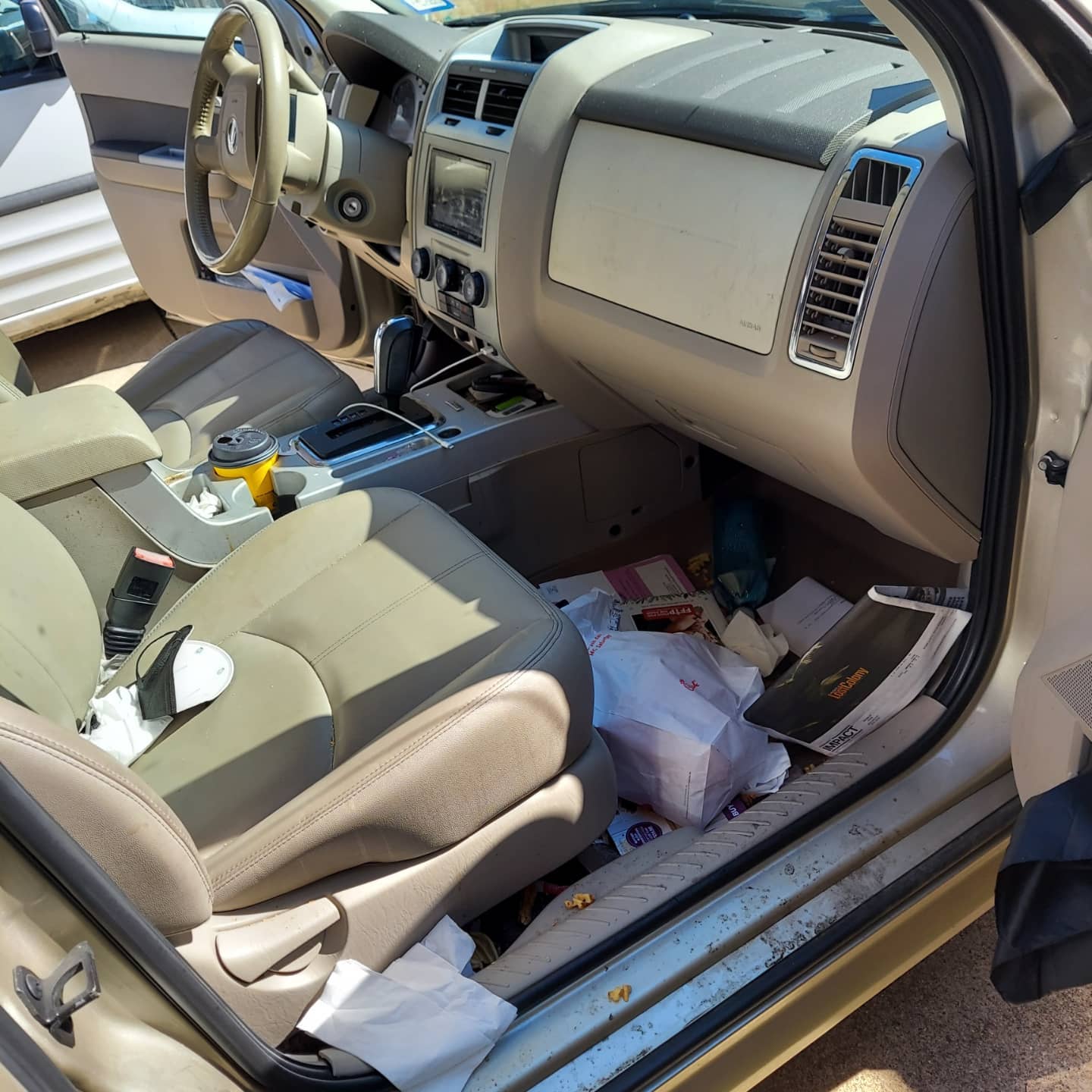 LG Mobile Detailing in Lewisville, TX (6)