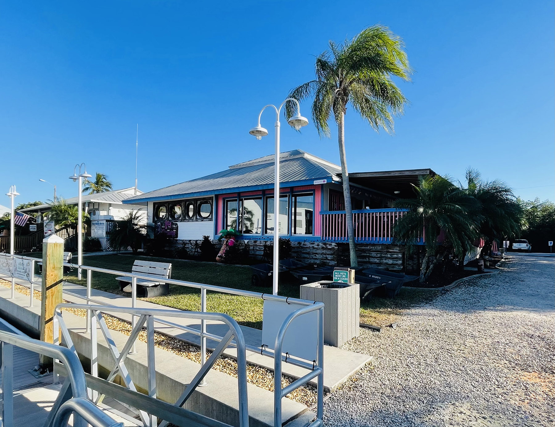 Lazy Flamingo in Sanibel, FL (2)