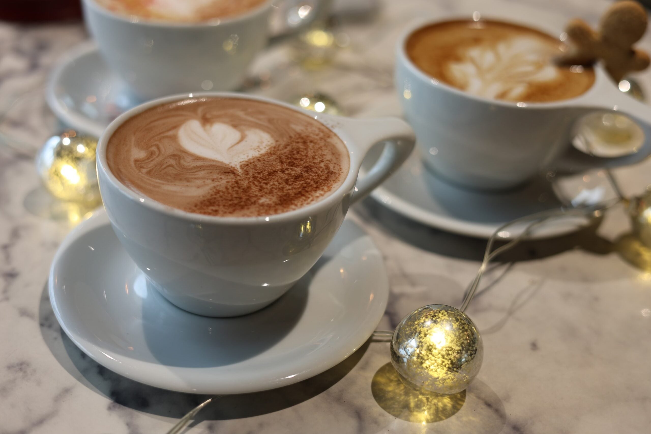Lobos Coffee Roasters in Orlando, FL
