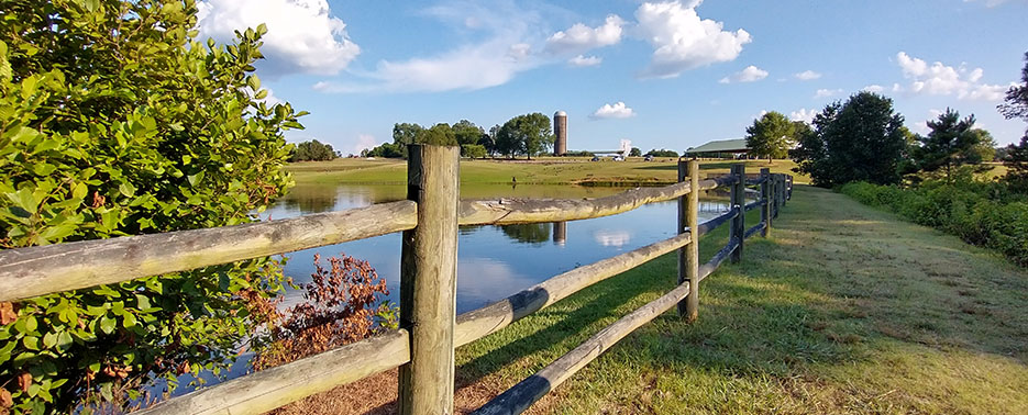 Angela Perkins Hupp, CPA, LLC in South Boston, VA (3)