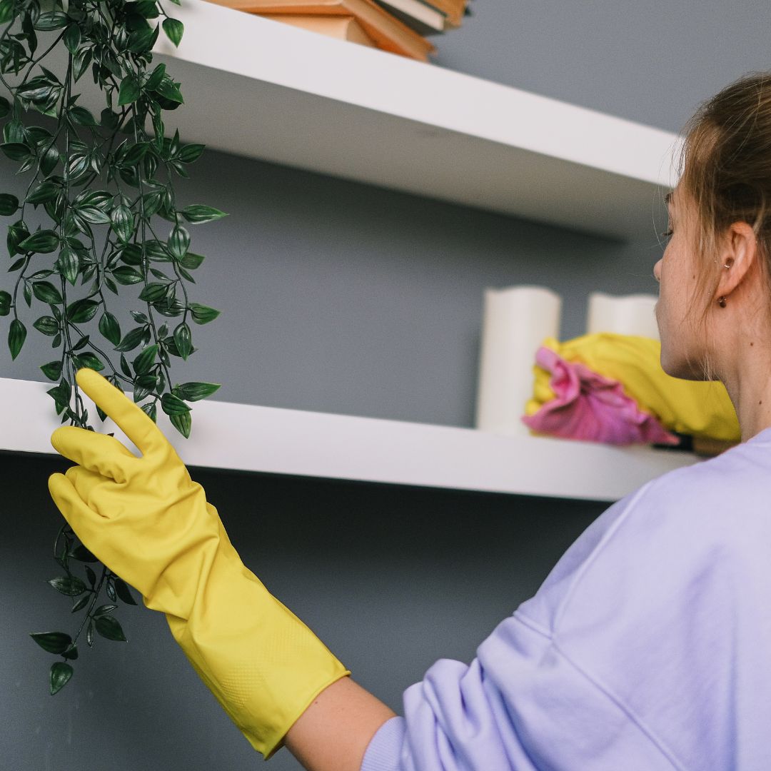 Green House Cleaning Service Miami in Miami, FL