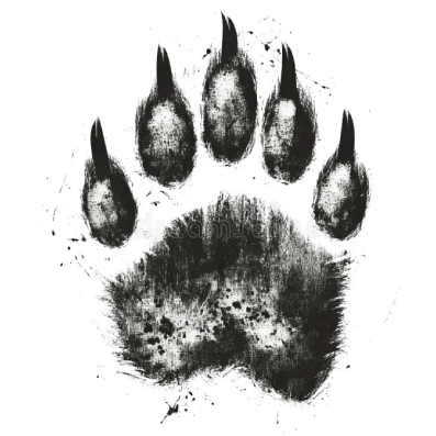 Bear Nails LLC in Oconto, WI (3)