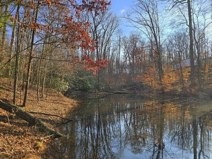 Lakewood Real Estate Serivce in Mount Nebo, WV (5)