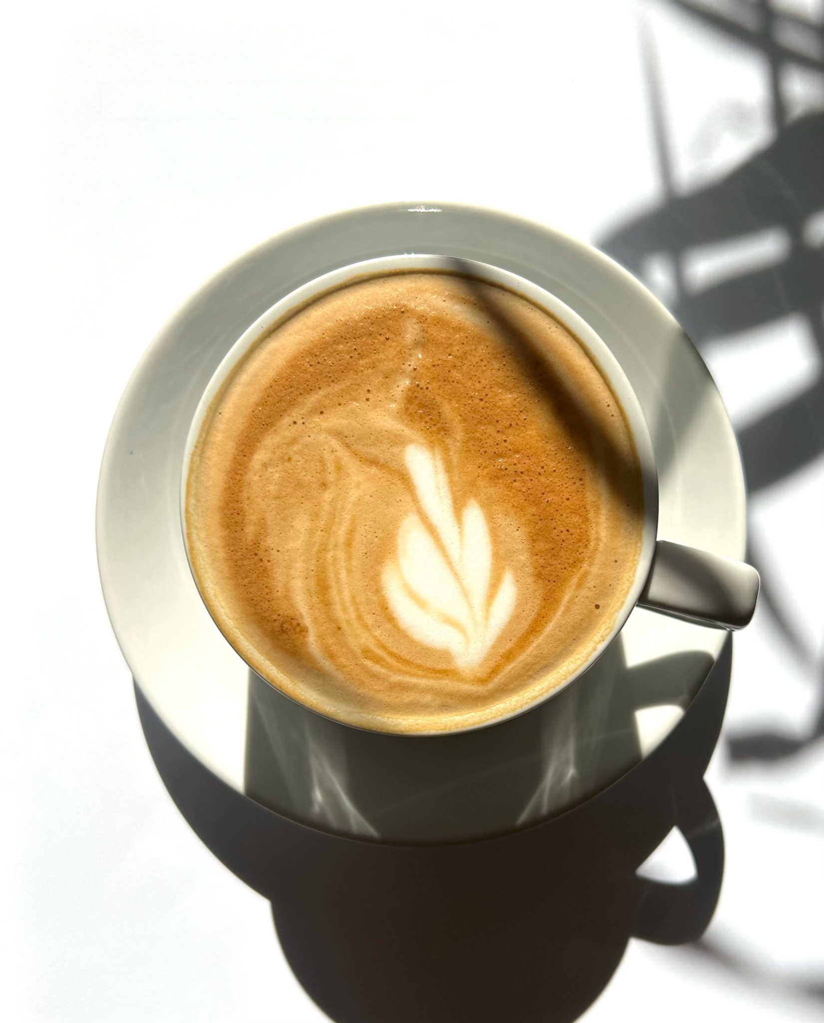 Salt & Light Cafe in Reading, PA (6)