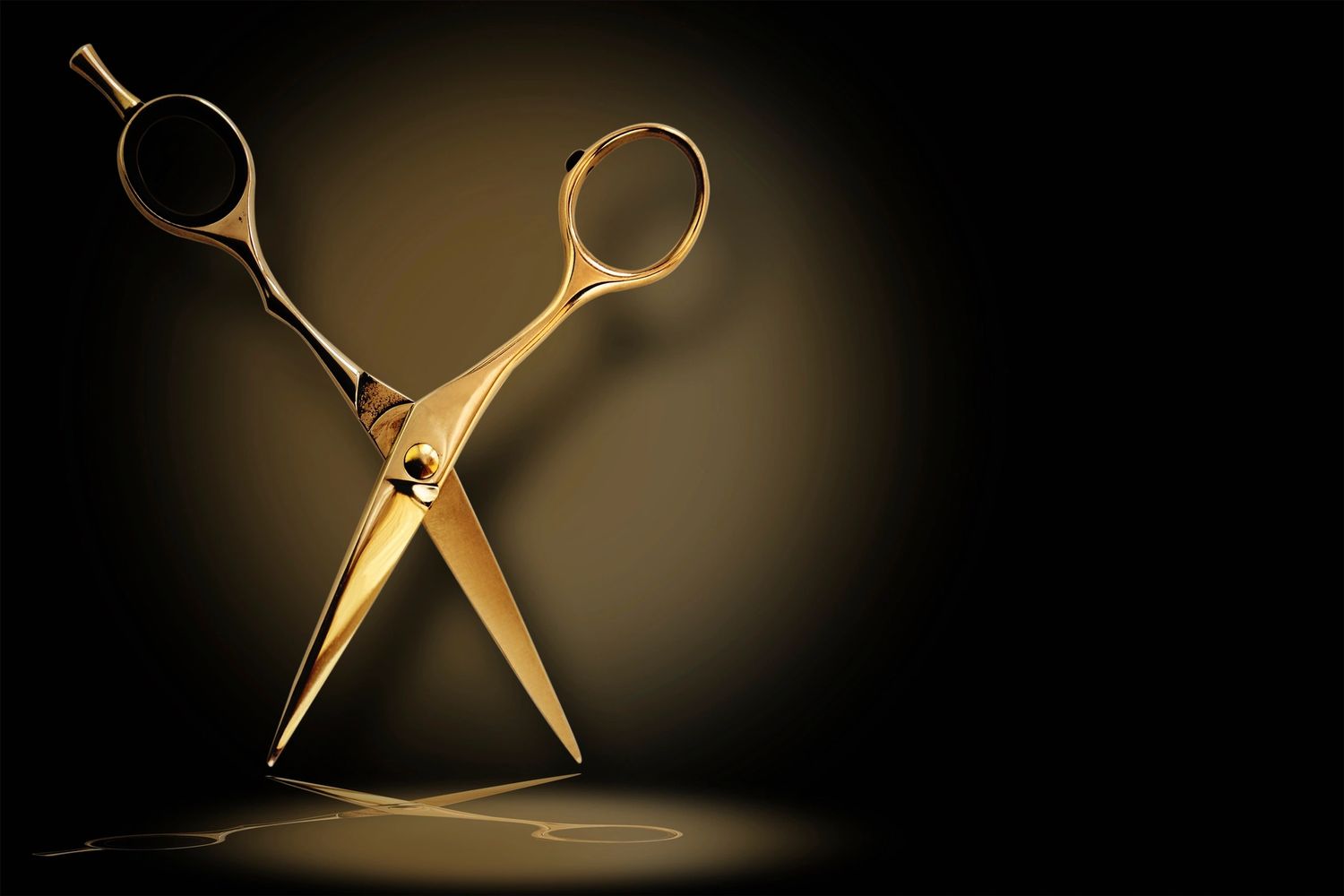 Twisted Salon Inc. in Mishawaka, IN