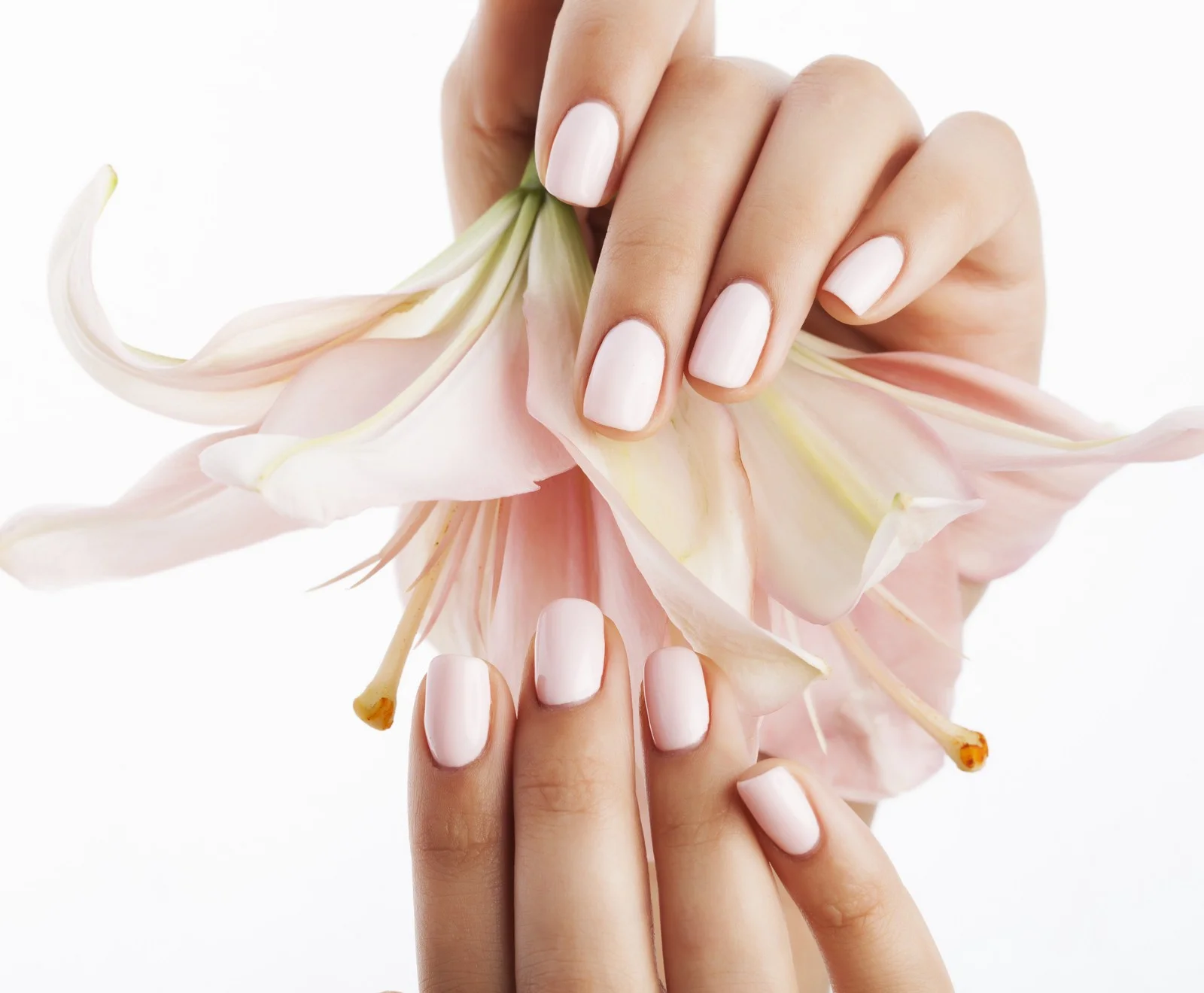 Loudoun Nail Spa in Leesburg, VA (2)