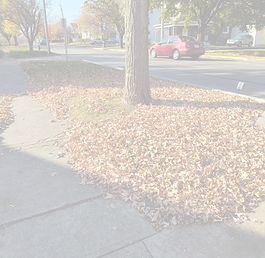 Progeny Lawn and Landscape in Marysville, OH
