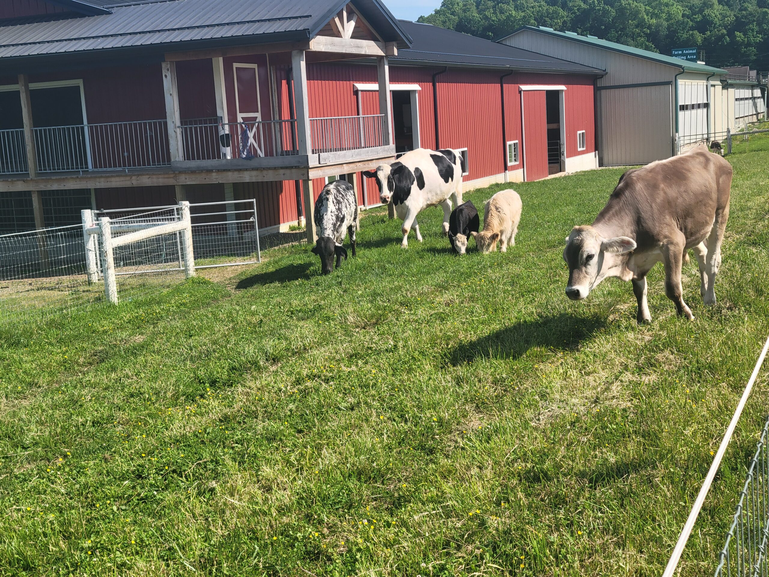 Hershberger's Farm and Bakery in Millersburg, OH