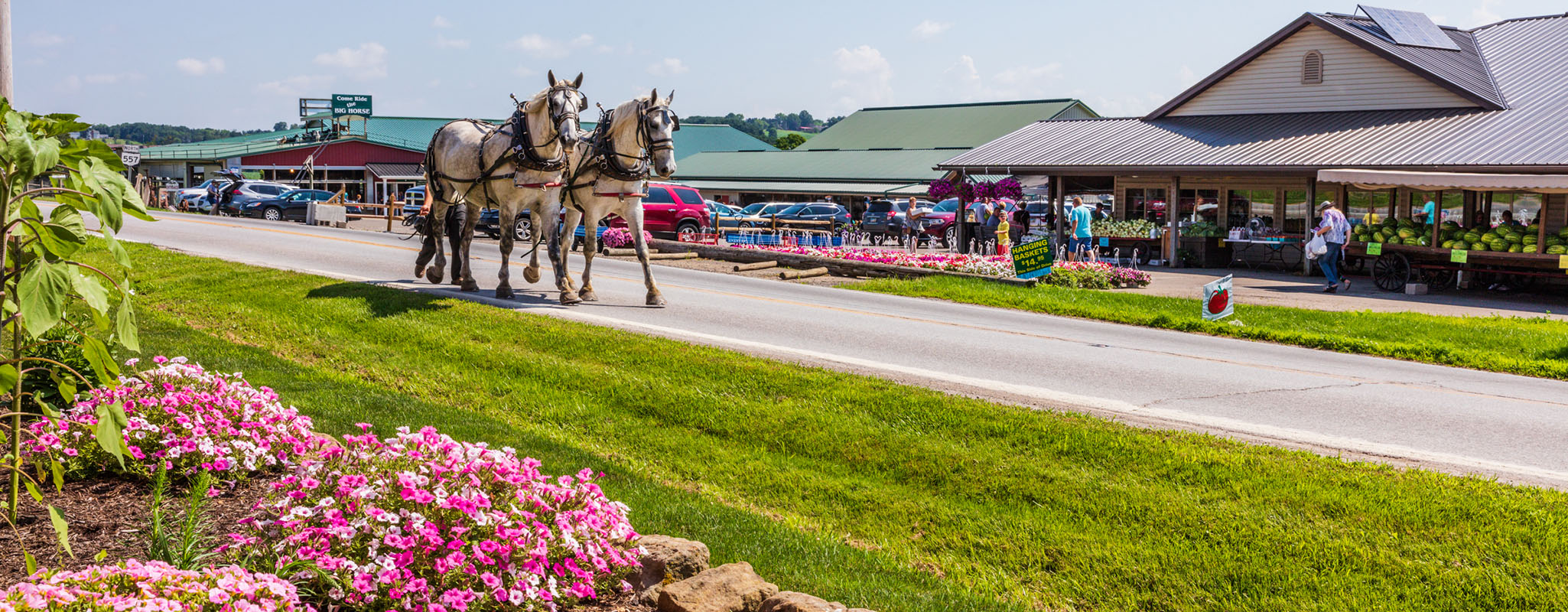 Hershberger's Farm and Bakery in Millersburg, OH (3)