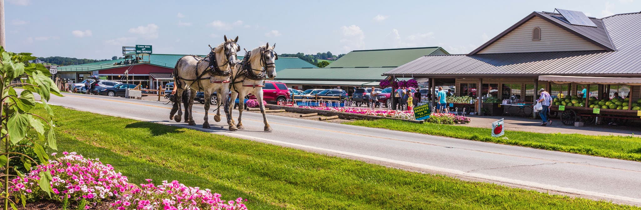 Hershberger's Farm and Bakery in Millersburg, OH (5)