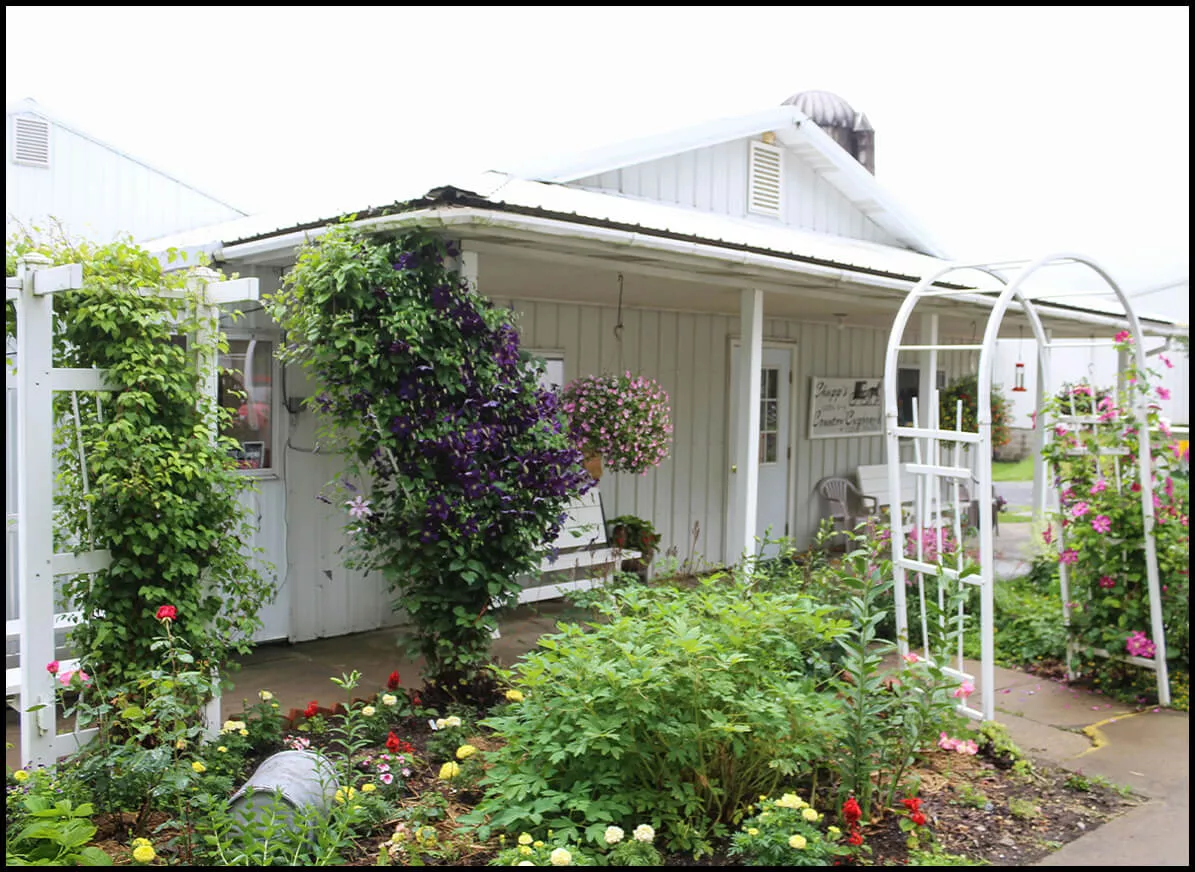 Chupp's Country Cupboard in Springboro, PA