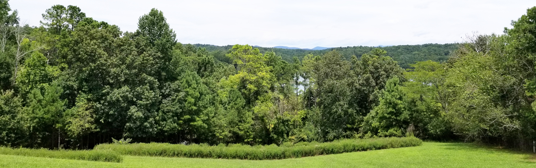 Jeffrey L Jackson CPA LLC in Canton, GA (2)