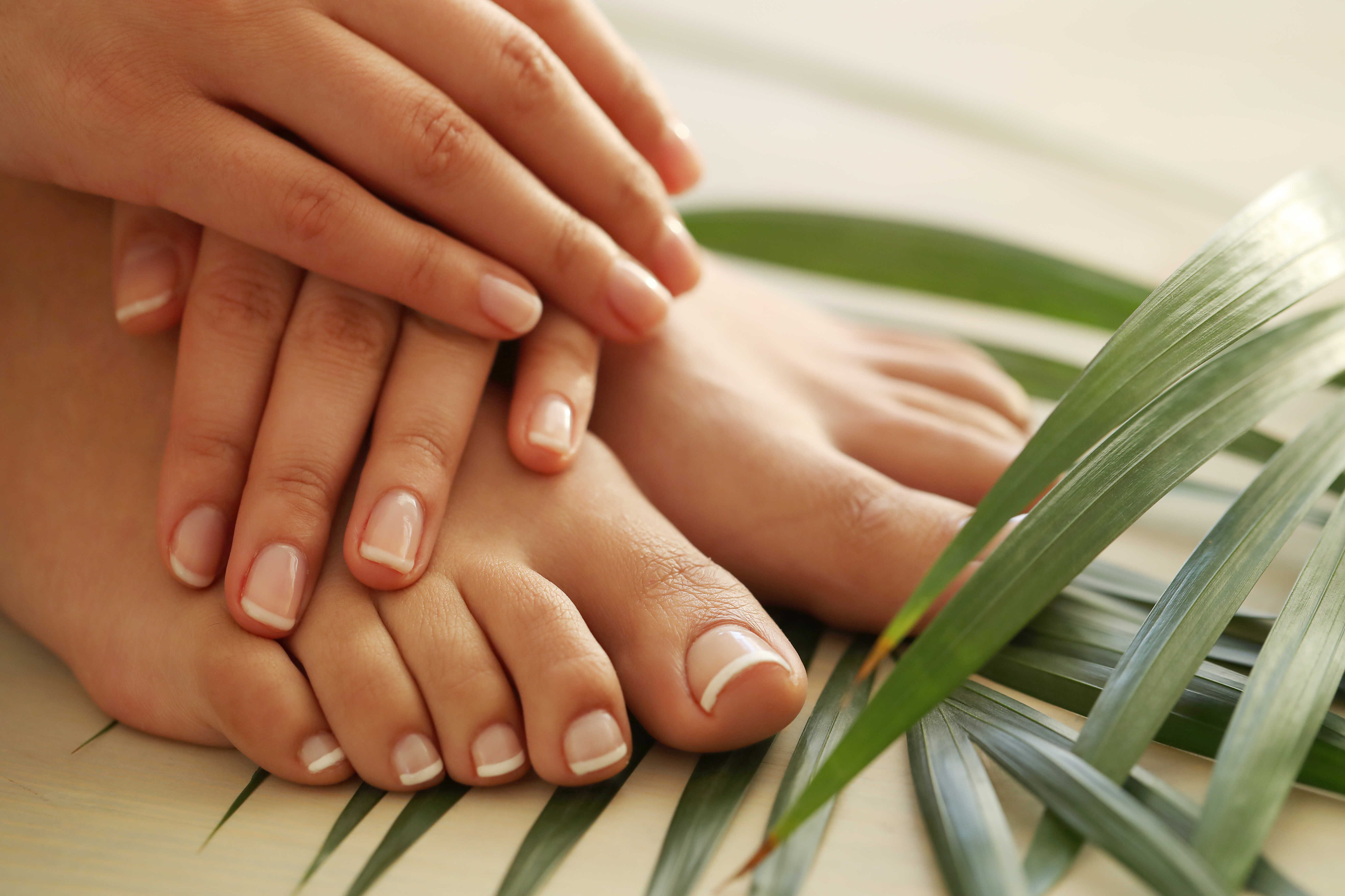 Chloe Nails Lounge in Lafayette, CA