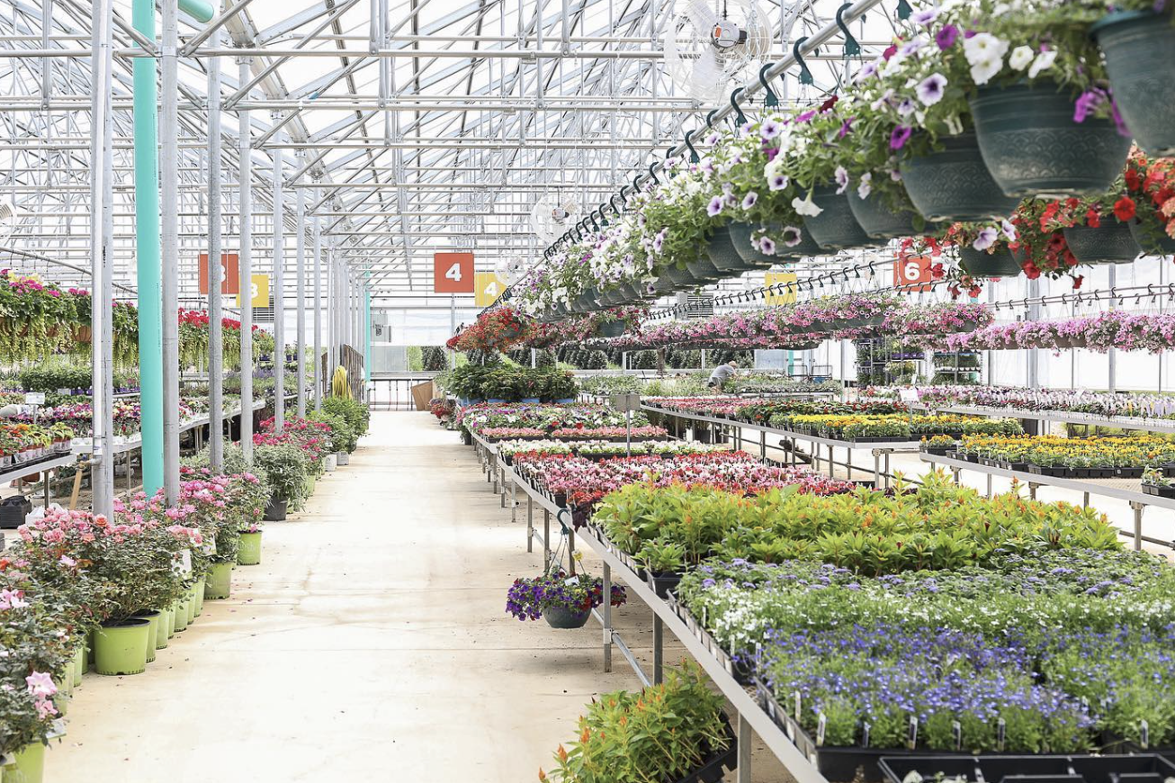 Timbuk Farms Christmas Tree Farm in Granville, OH (2)