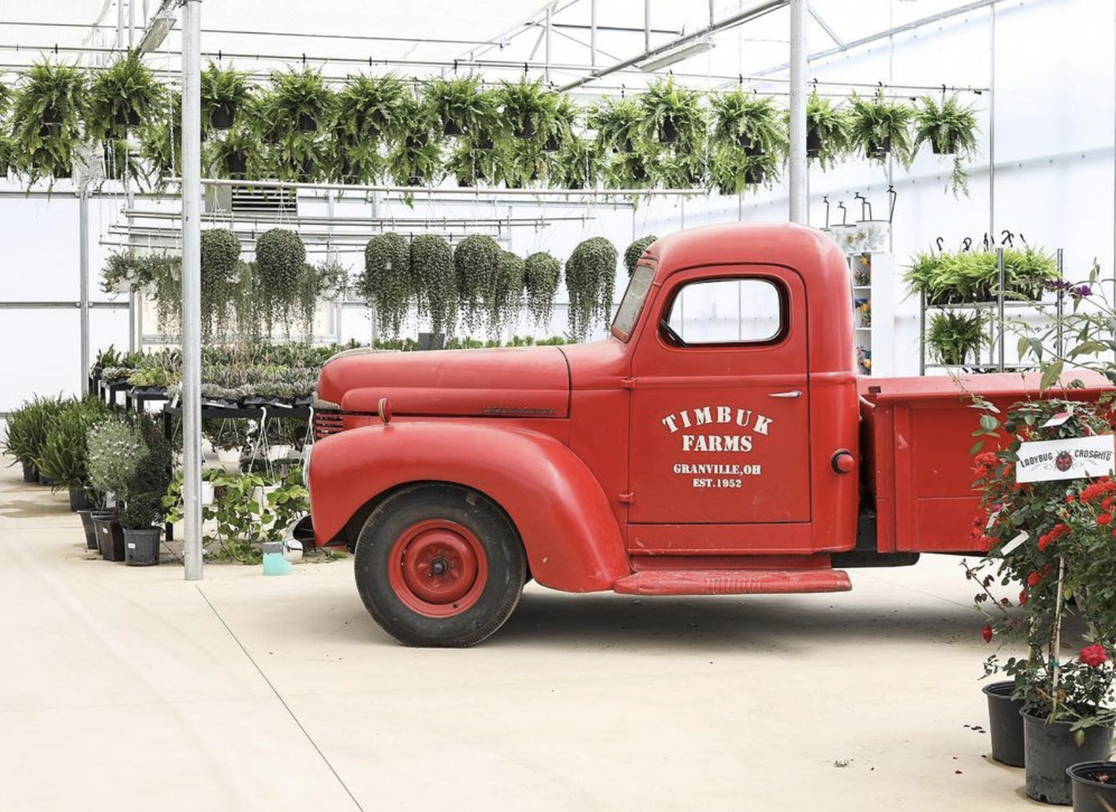 Timbuk Farms Christmas Tree Farm in Granville, OH (3)
