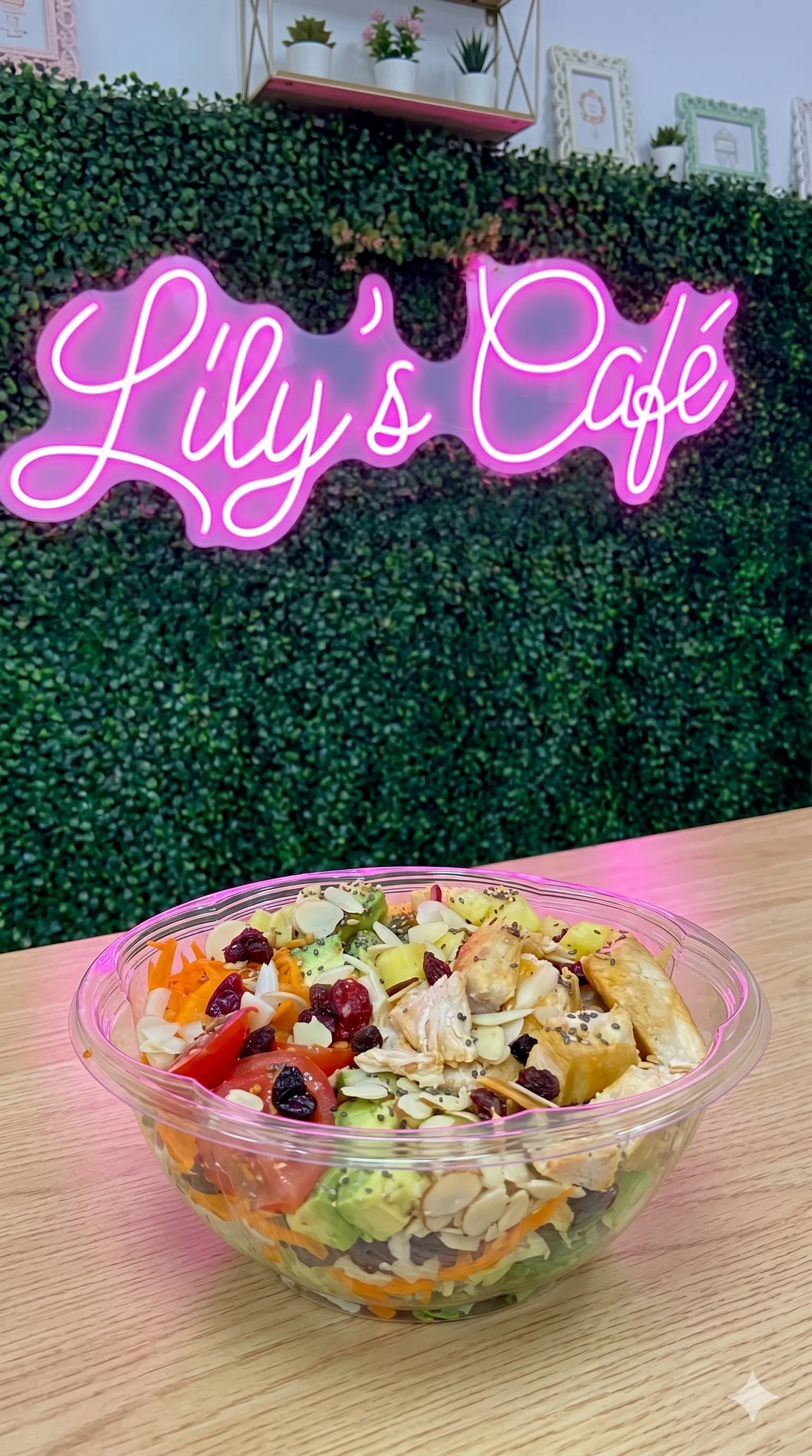 Lily's Cafe and more in New Port Richey, FL