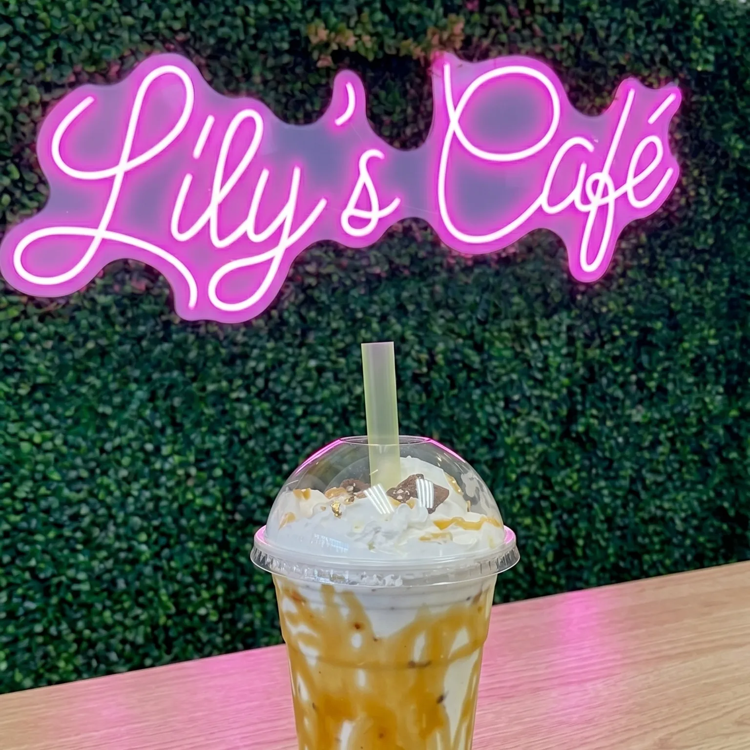 Lily's Cafe and more in New Port Richey, FL (5)