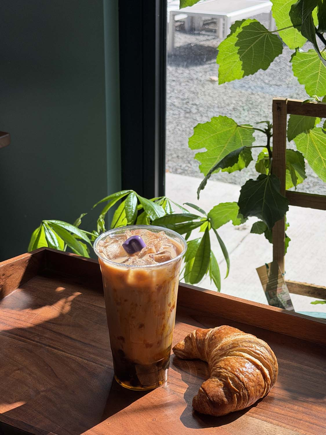 C’est Bon Mi in St Croix Falls, WI (6)