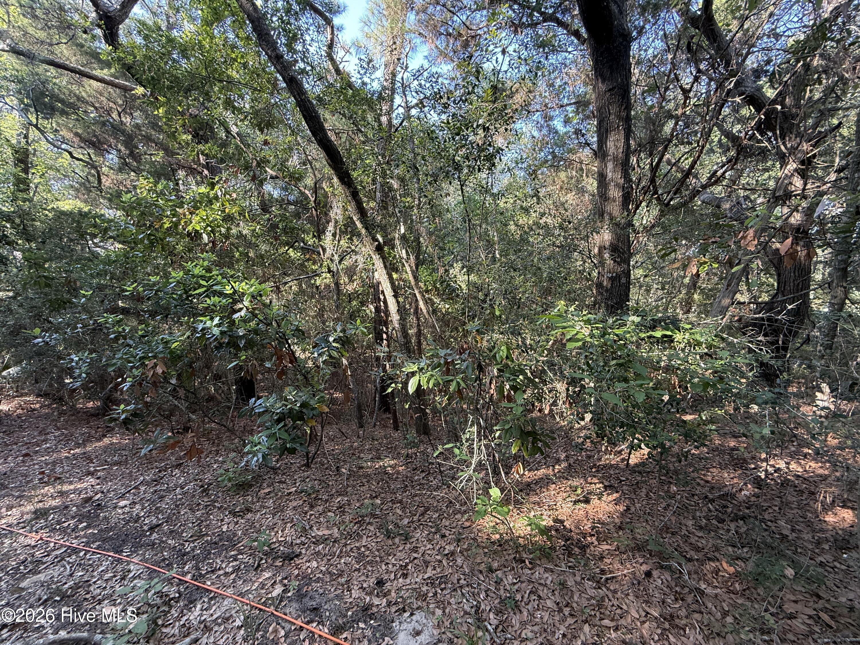 David Wray - Intracoastal Realty - Bald Head Island in Bald Head Island, NC