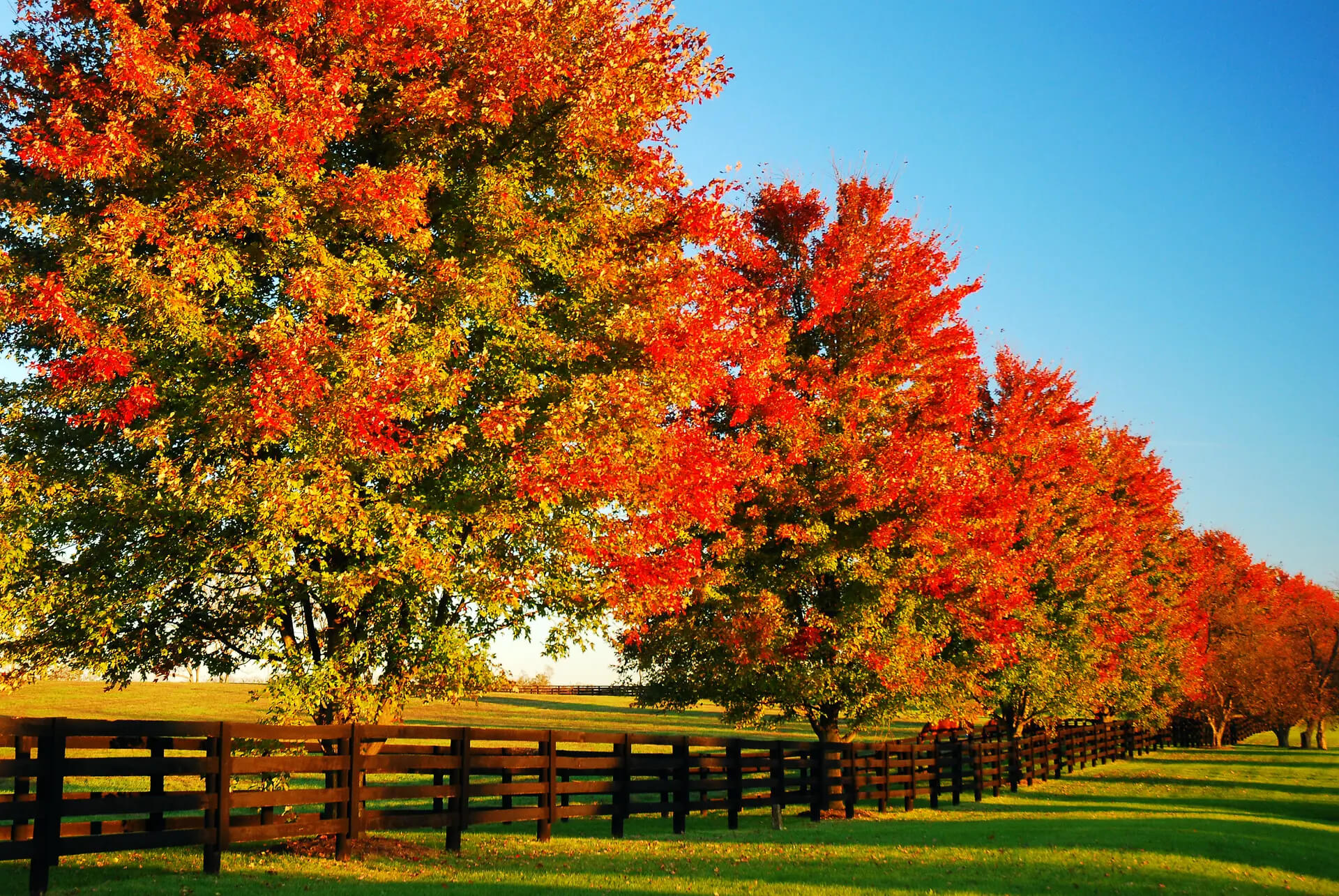 Devon Pack - Realtor - The Home Team in Fisherville, KY