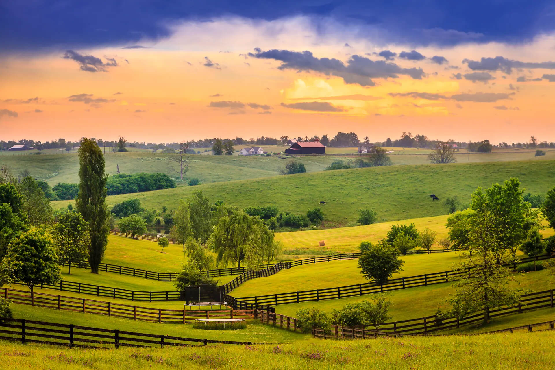 Devon Pack - Realtor - The Home Team in Fisherville, KY (5)