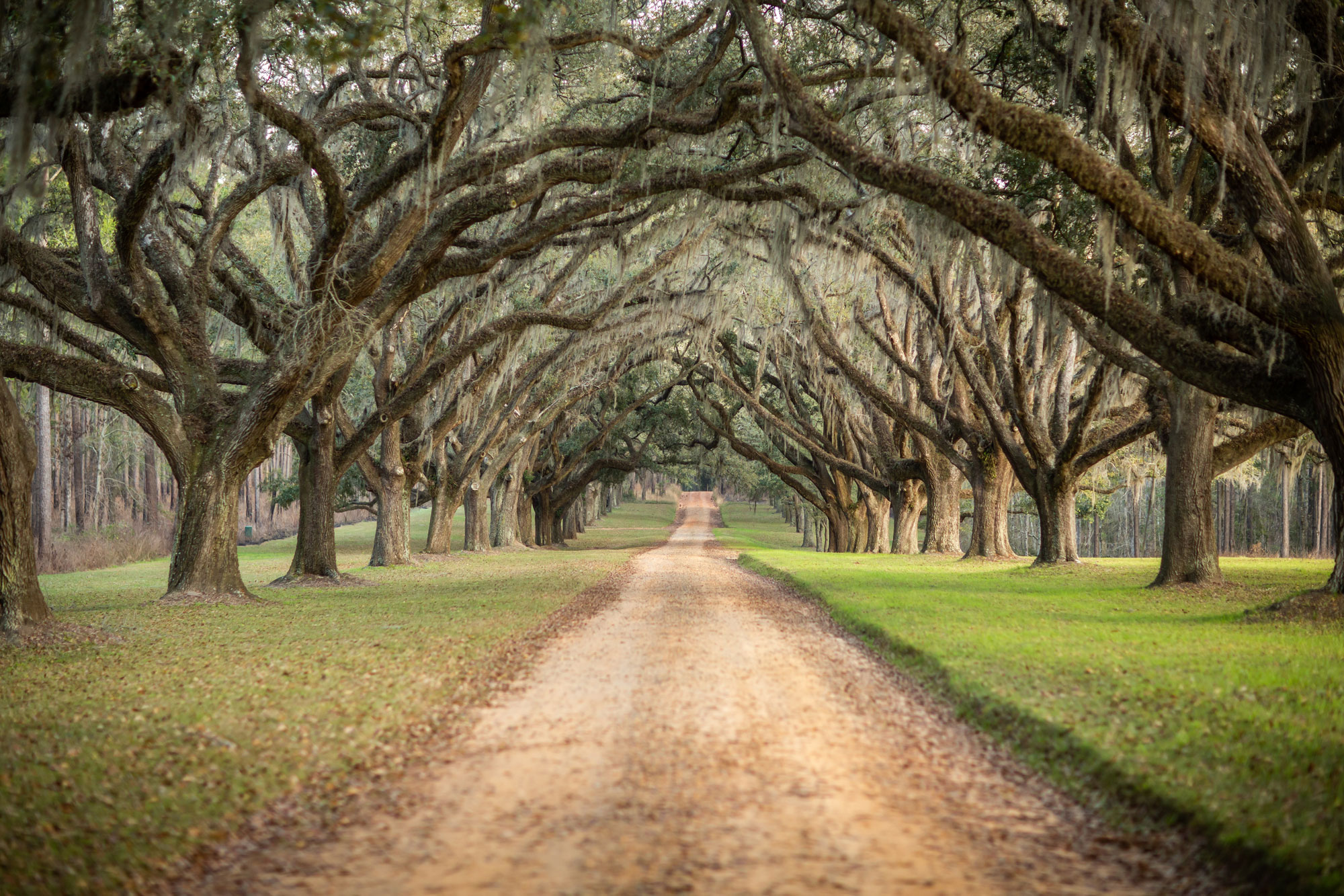 The McLendon Law Firm in Blakely, GA (3)