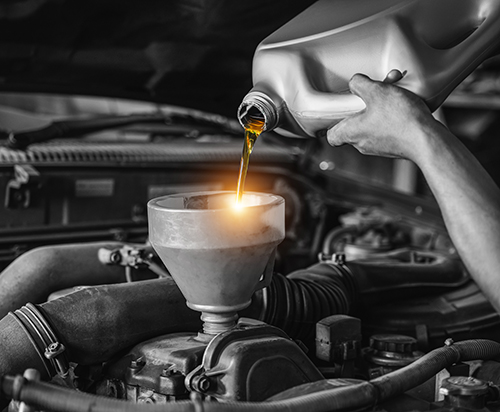 DFW Luxury Automotive Group in Aubrey, TX (3)