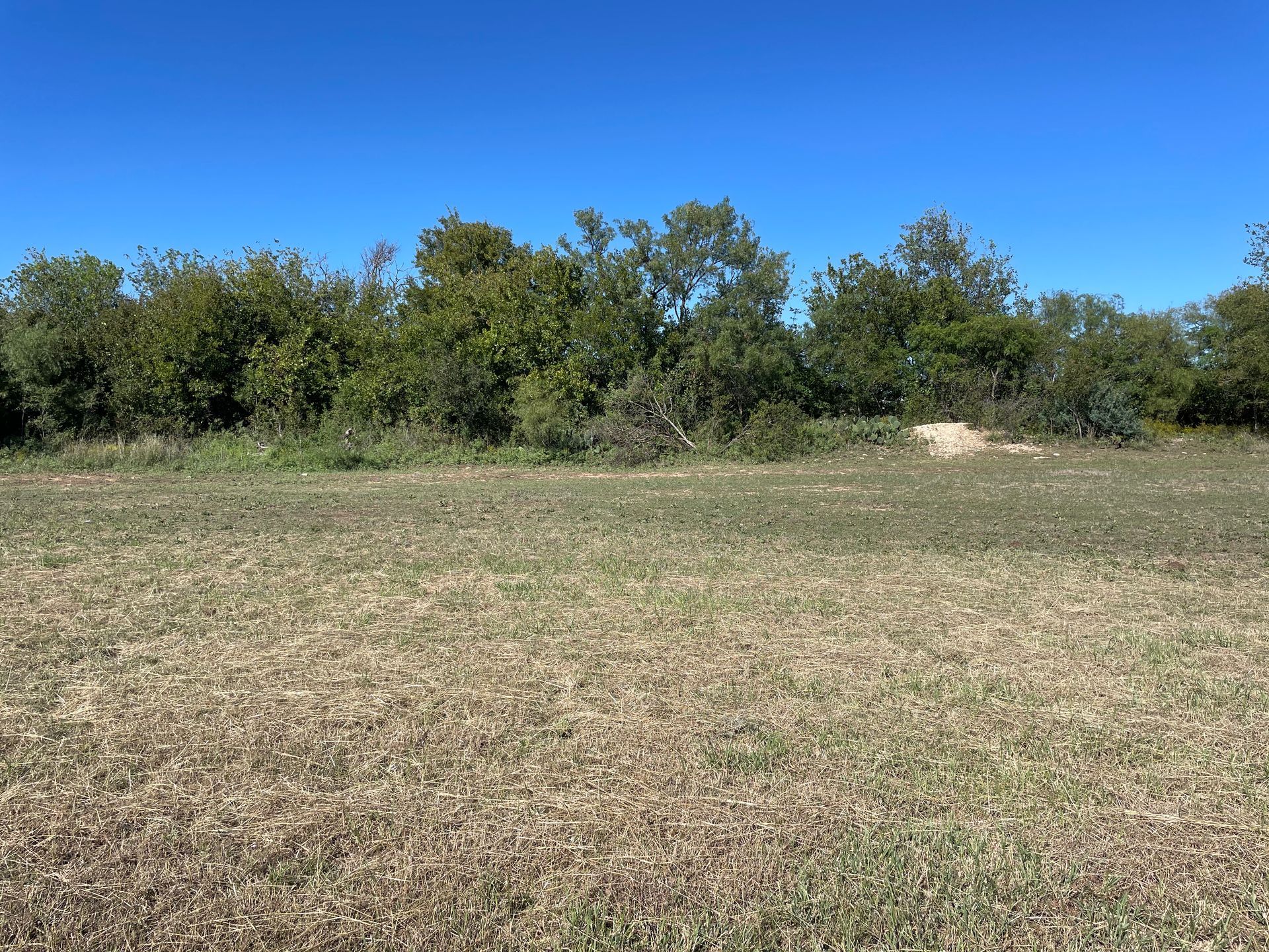 Ranch House Realty in Goldthwaite, TX (4)