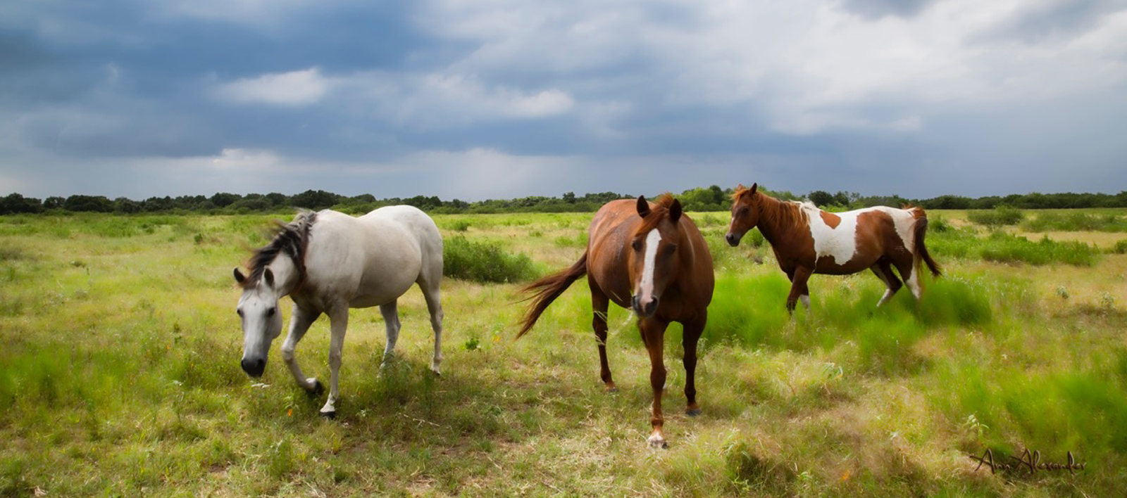 Riata Real Estate in Luling, TX (5)