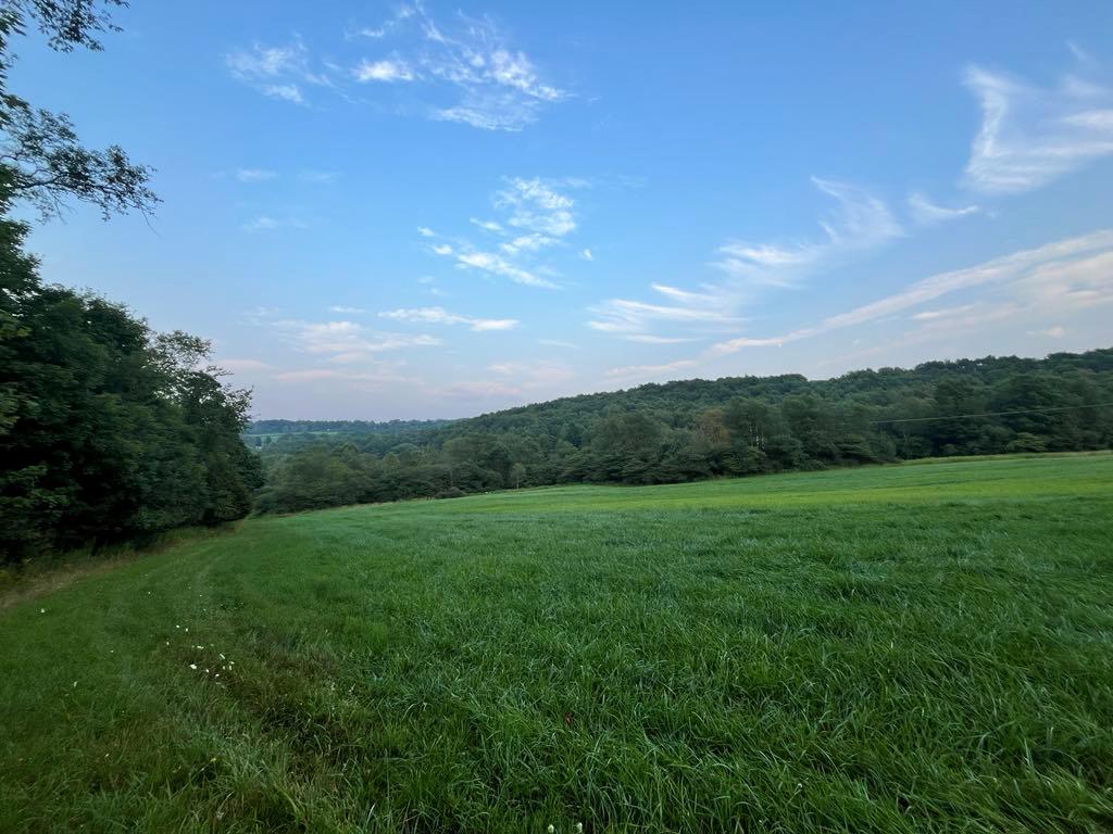 Mountain Valley Realty, Inc - Coudersport in Coudersport, PA (3)